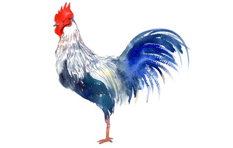 Le Coq de la Fertilité ! Un Symbole Vibrant de Vitalité et d'Abondance dans l'Art du 4e Siècle en Thaïlande